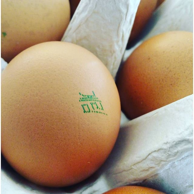 계란 = Egg
#LearnKorean #Everyday #instagramexclusive