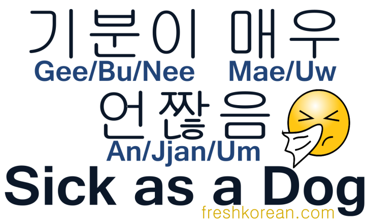 As Sick As a Dog - Fresh Korean Phrase Card
